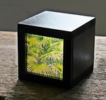 Tinycube: Tropical € 48,00 Ca.Maße B15cm H15cm L15cm Gewicht1,2kg