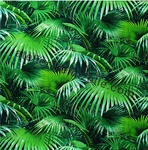 Wechselmotiv Tropical für Tinycubes €12,00